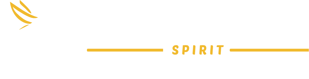 Machu Picchu Spirit